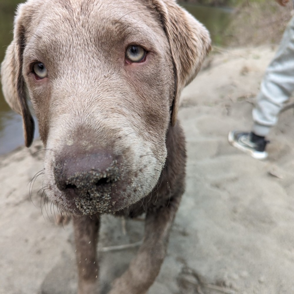 Meet your Posher, Dave